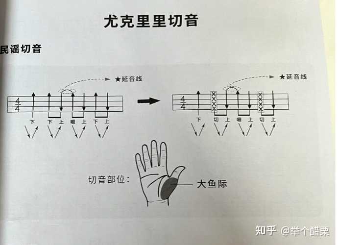 尤克里里升怎么弹_尤克里里怎么弹升调_学弹尤克里里升级版