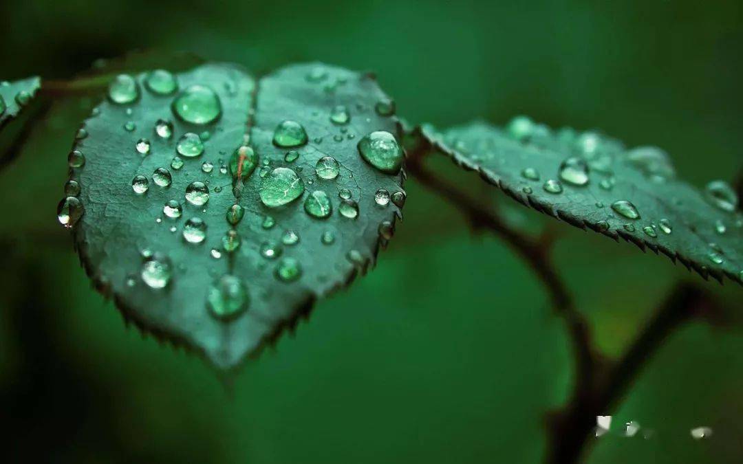 雨中的萨克斯_萨克斯雨中曲谱_萨克斯曲在雨中