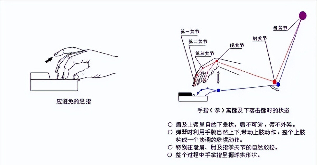 钢琴弹音乐怎么弹_钢琴双音怎么弹_钢琴弹音阶需要注意什么