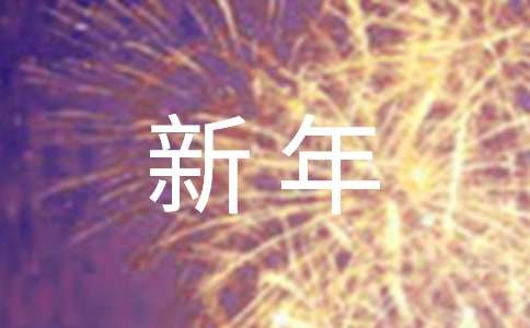 欢乐颂新年到作文500字欣赏