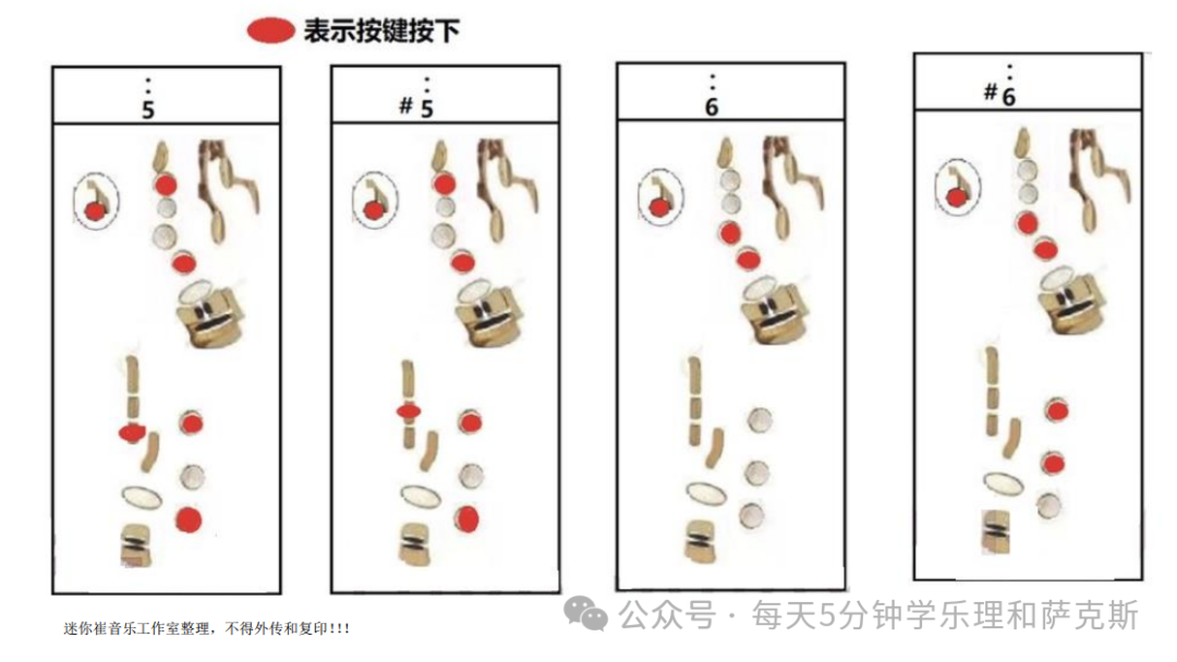 萨克斯回家的曲谱_回家曲谱萨克斯曲谱_回家曲谱萨克斯视频播放