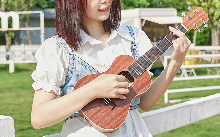 琴师尤克里里_尤克里里琴_琴师尤克里里弹唱教学