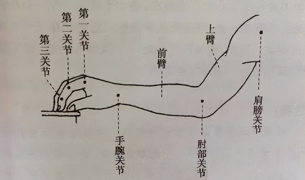 钢琴强弱弱怎么弹_钢琴弹奏强弱_钢琴强弱怎么弹