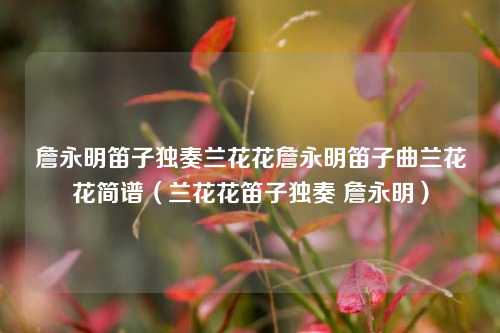 詹永明笛子独奏兰花花詹永明笛子曲兰花花简谱（兰花花笛子独奏 詹永明）