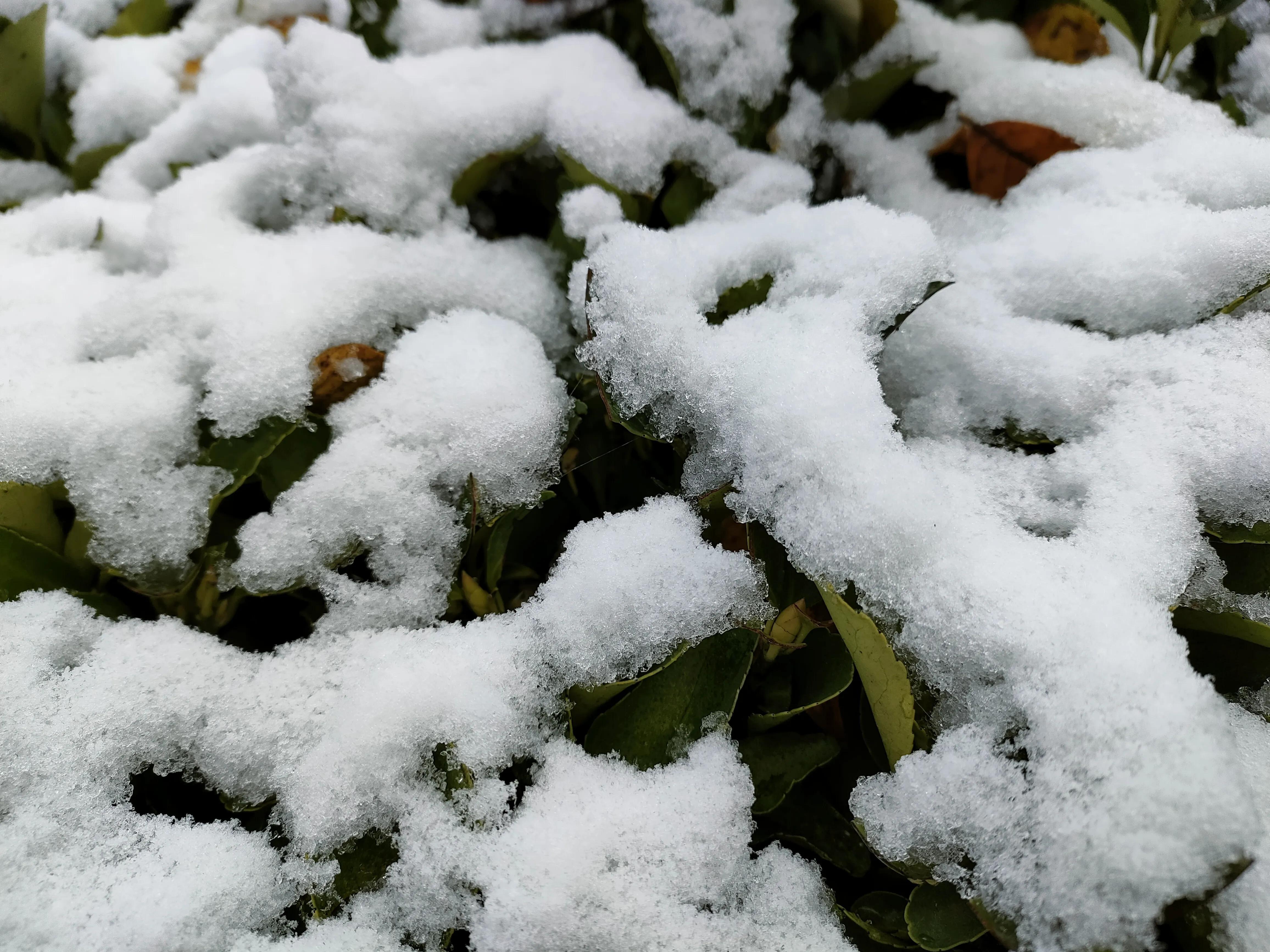 初雪钢琴曲_钢琴曲初雪简谱_钢琴曲初雪教学视频