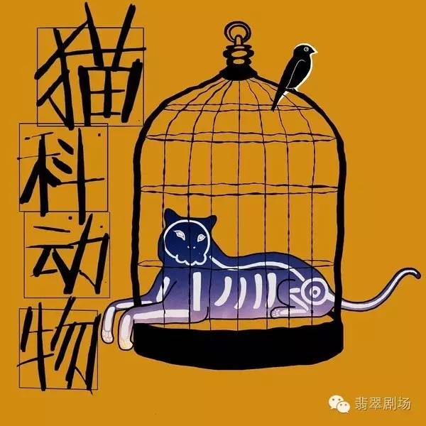 吉它独奏鸽子_吉他曲鸽子_吉他鸽子曲谱