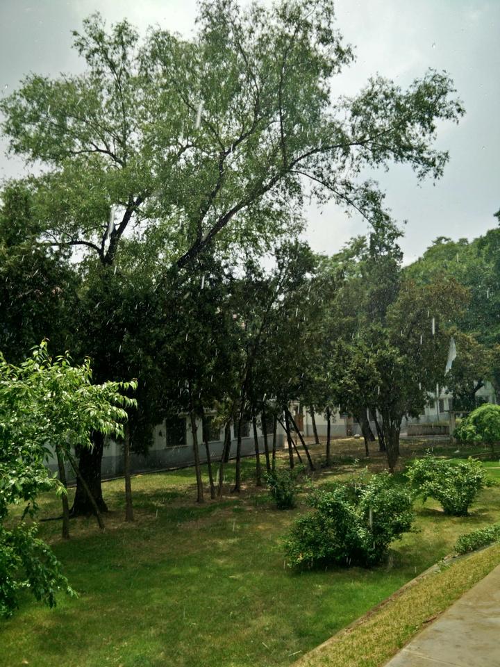 雨中漫步钢琴曲_雨中漫步钢琴教学视频_钢琴曲雨中漫步