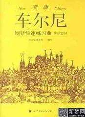 电子钢琴怎么弹_钢琴弹电子琴_钢琴弹电子音在线