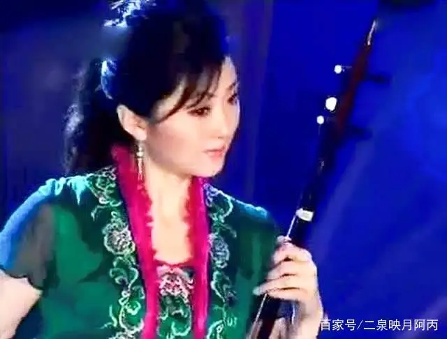 二胡演奏曲大全视频_什么二胡_二胡二胡谱