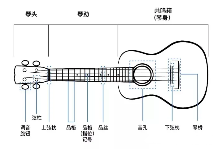 尤克里里la怎么弹_弹尤克里里留指甲吗_弹尤克里里录制声音大