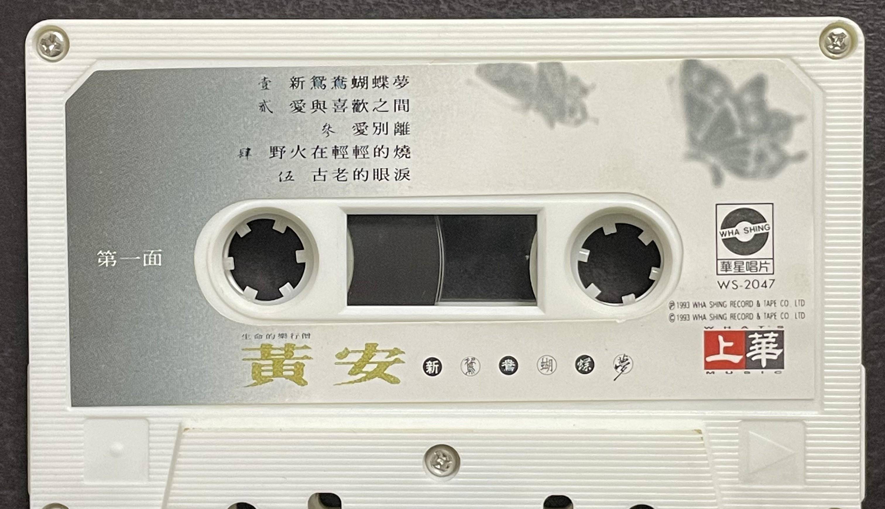 刘德华歌曲简谱_刘德华28首歌曲曲谱视频_刘德华歌曲一视频