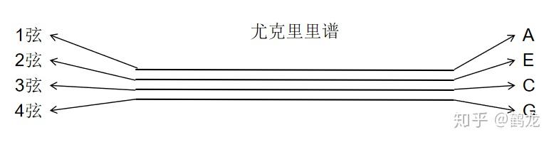 钢琴弹简谱会被嘲笑吗_钢琴简谱怎么弹_钢琴弹简谱还是五线谱