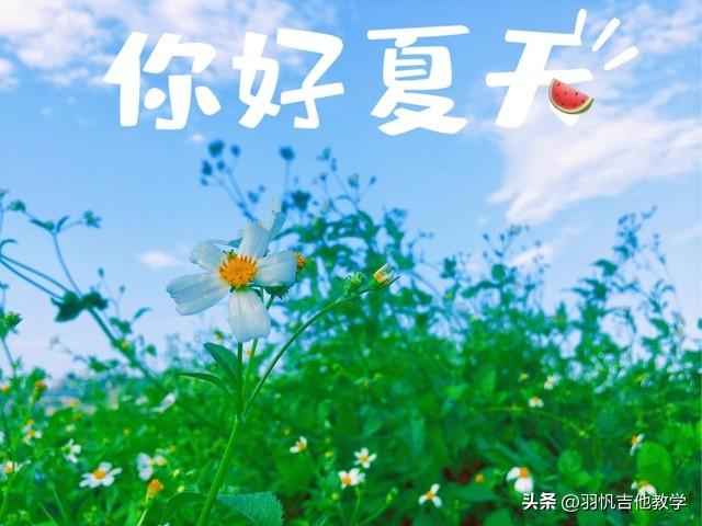 吉他曲简单的流行曲_吉他曲简单的比较慢的曲_简单吉他曲