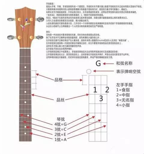 入门尤克里里品牌推荐_尤克里里入门_入门尤克里里曲谱