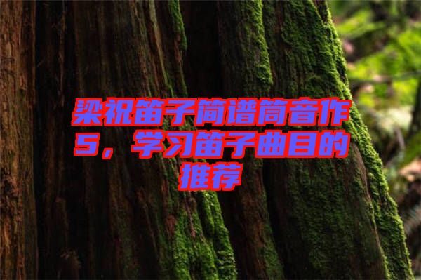 梁祝笛子简谱筒音作5，学习笛子曲目的推荐