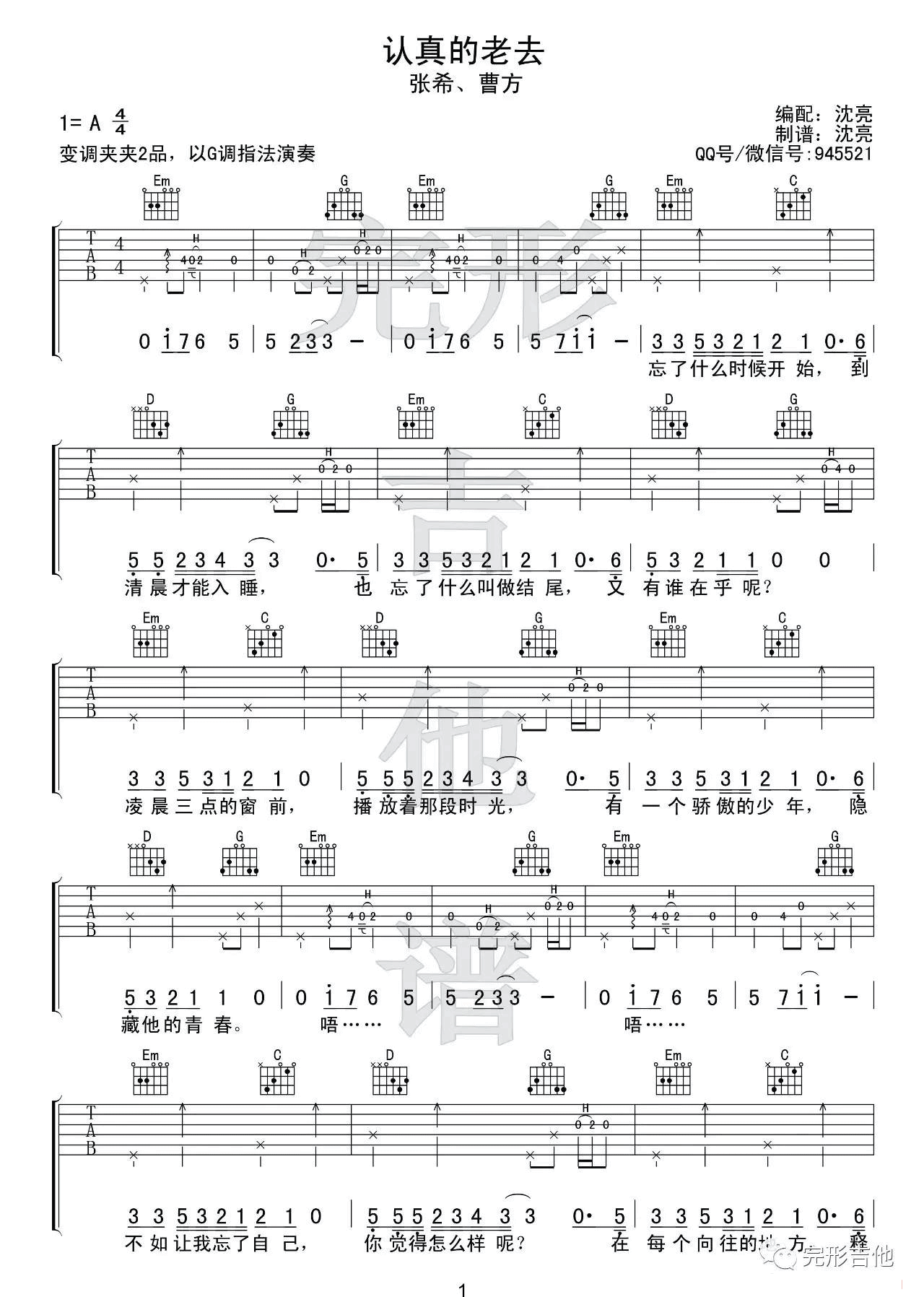 认真的老去吉他谱-1