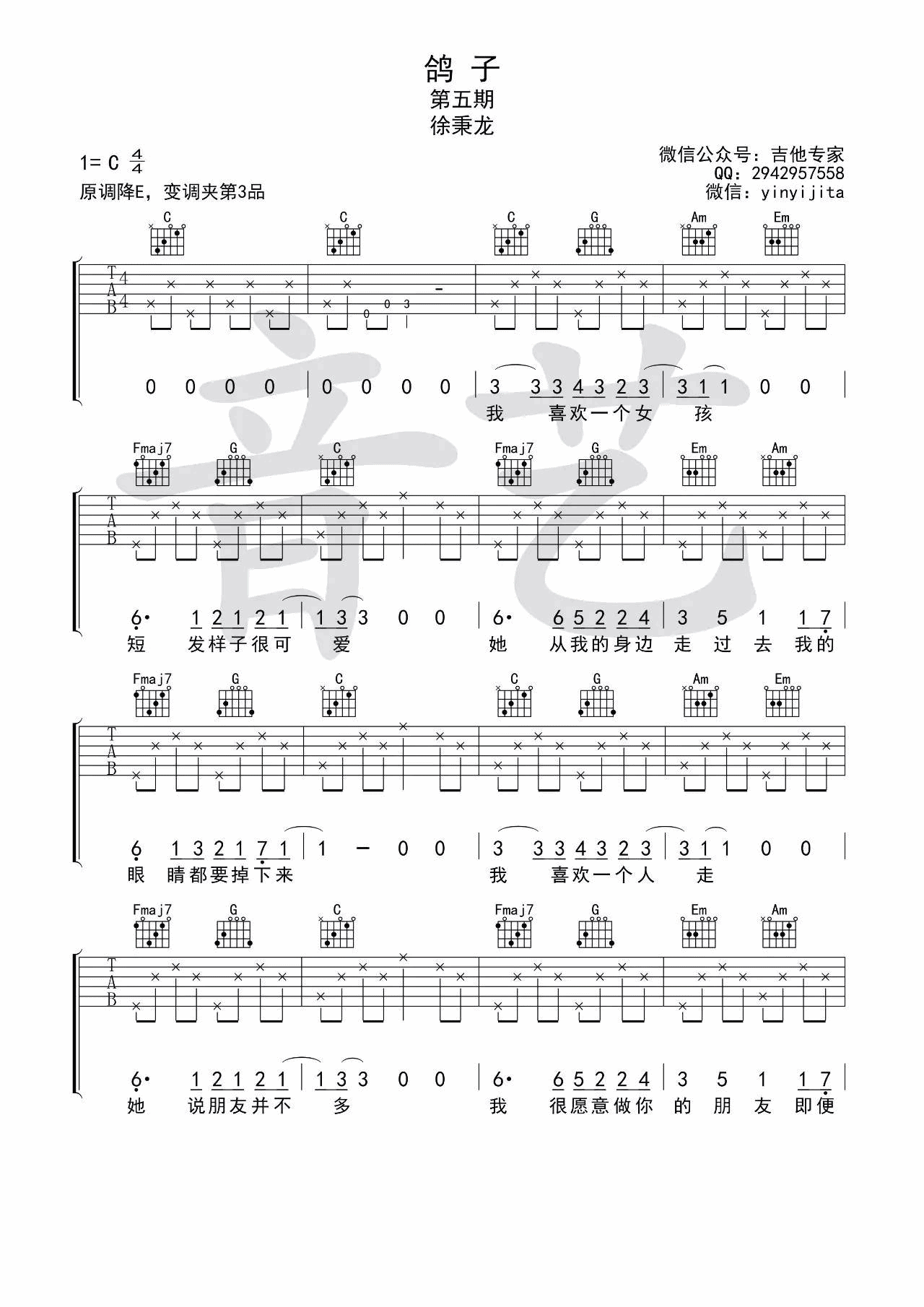 鸽子吉他谱-1