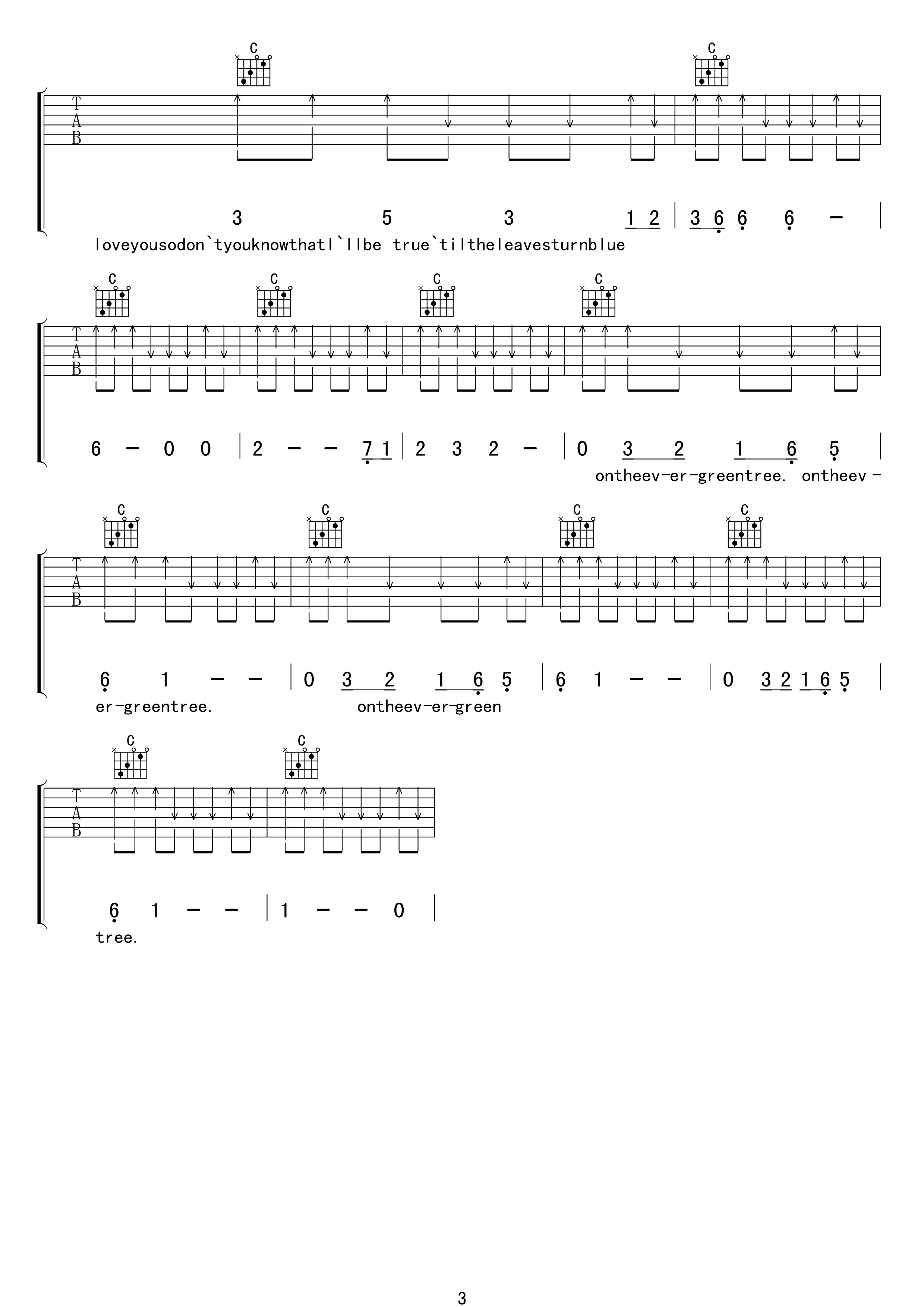 Evergreen Tree吉他谱-3